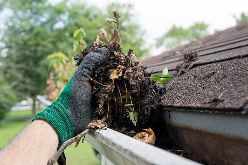 Hand removing debris from a gutter